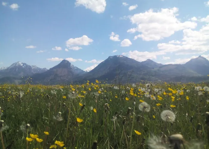 S-hansn * Saint Wolfgang